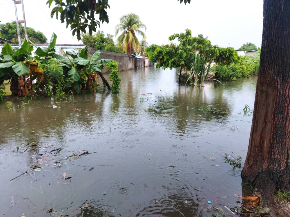 Inundados más de 13 sectores populares de Barinas por las lluvias (IMÁGENES)