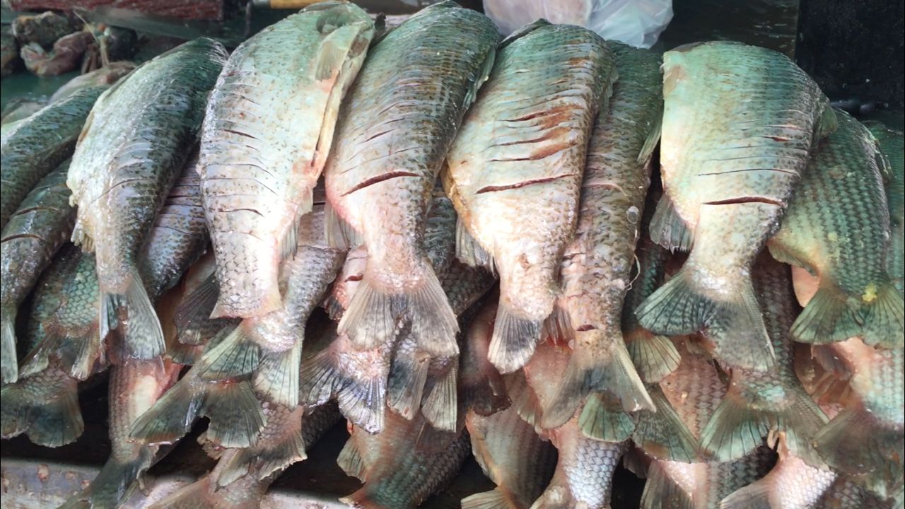 Pescadores se quejaron por vendedores “piratas” del rubro en la capital de Guárico