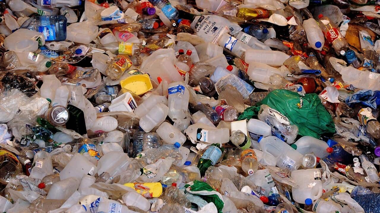 ¿De no creer? Latina muestra lo que botan a la basura en Australia y se hace viral (VIDEO)