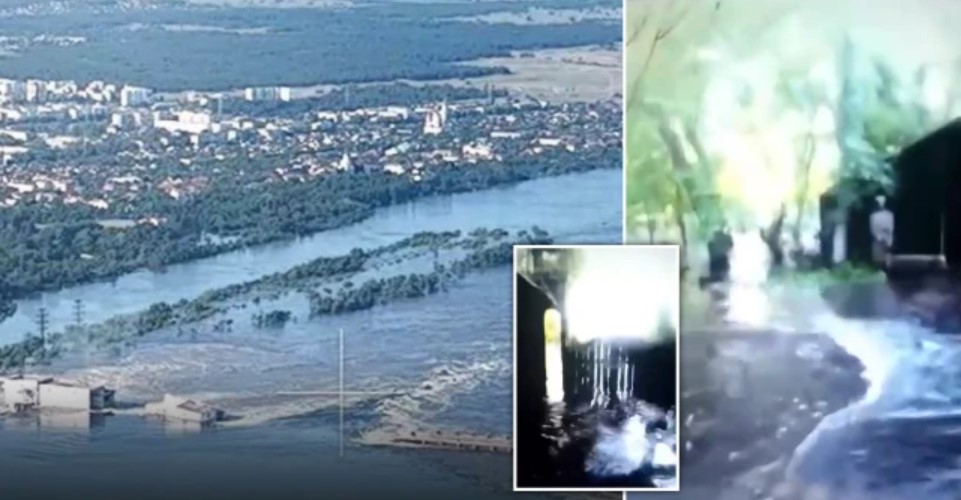 Dramático momento en que animales del zoológico luchan por sus vidas tras destrucción de la represa de Ucrania (VIDEOS)