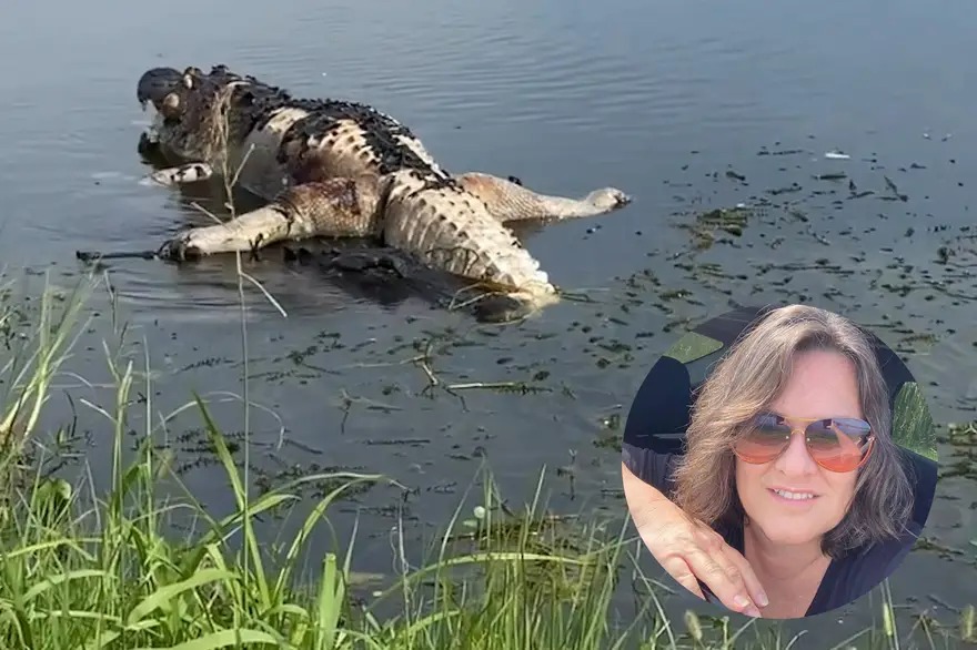 VIDEO: Vieron un cocodrilo muerto en un lago de Florida, pero descubrieron algo peor