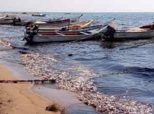 There is great concern about the awful pollution on the coasts of Paraguaná caused by oil spills in western Venezuela