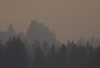 Humo de incendios forestales de Canadá invade Florida dejando los cielos oscuros