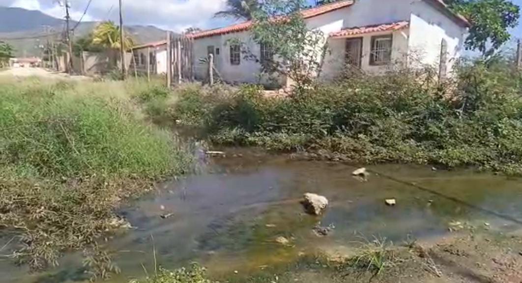 Habitantes de La Isleta II en Margarita llevan 15 años viviendo entre aguas putrefactas