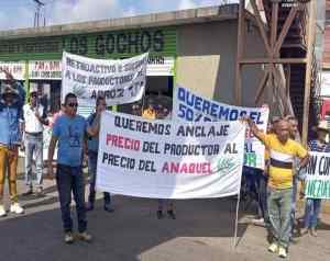 Productores en Guárico pidieron declarar emergencia agrícola ante falta de financiamiento