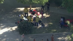 Pánico en Los Ángeles: Varios estudiantes fueron apuñalados en una escuela secundaria