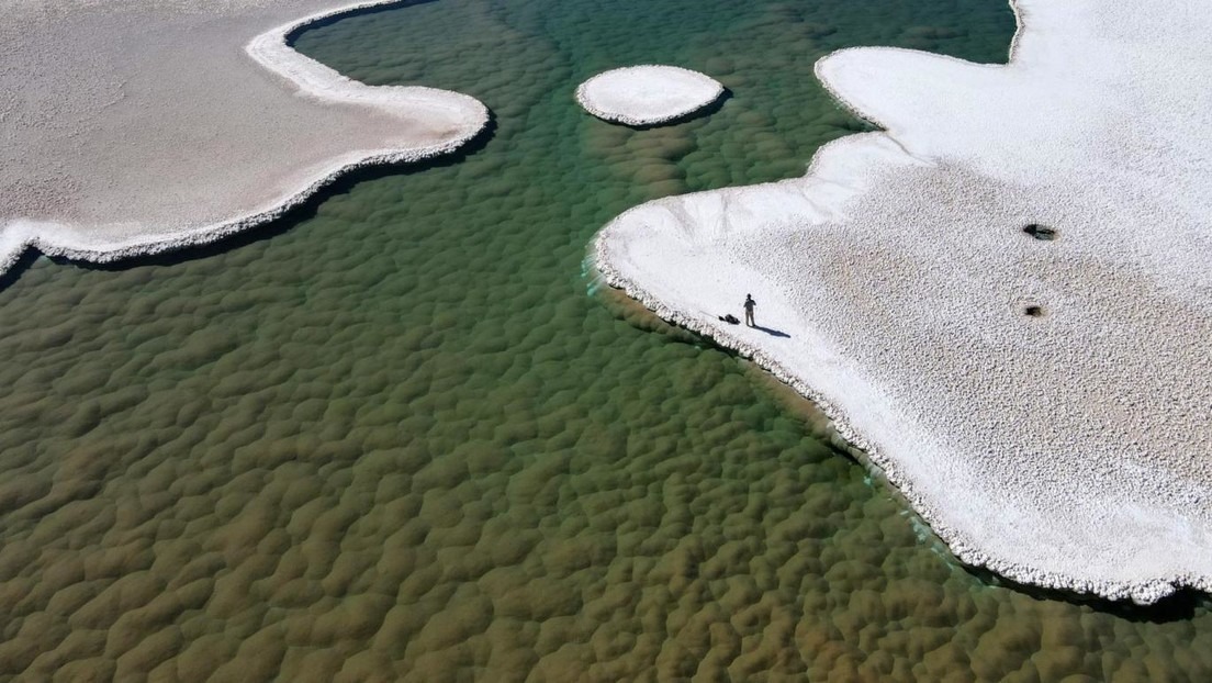 Geólogos de EEUU hallaron un ecosistema “alienígena” en las profundidades de un desierto argentino (VIDEO)