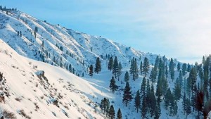Emergencia en Idaho: Una avalancha enterró hasta la muerte a un hombre que practicaba esquí