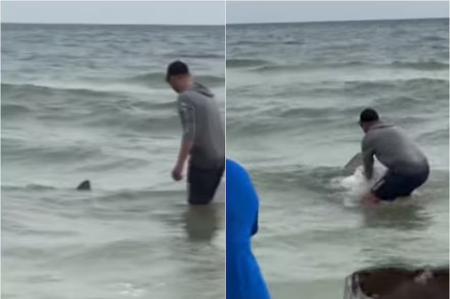 VIDEO: Pescaba en una playa de Florida y sacó un tiburón que causó una reacción increíble entre los bañistas