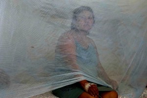 La urgencia de frenar el dengue: un problema de salud pública que se ensaña con América Latina