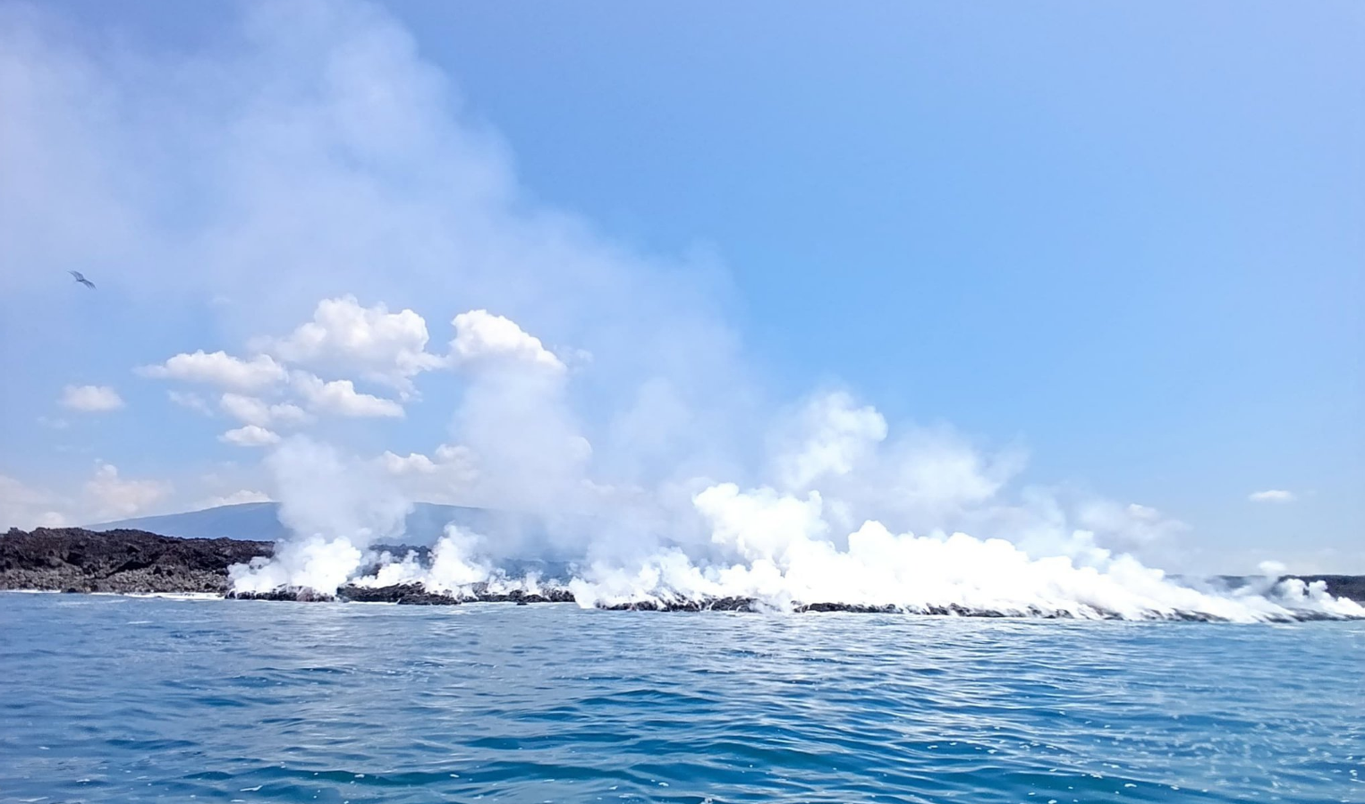 VIDEO: llegó al mar lava del volcán La Cumbre tras 35 días en erupción en Islas Galápagos