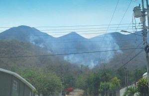 Continúan los incendios en Carabobo: reportan propagación de fuego en el cerro Indio Desnudo (Video)