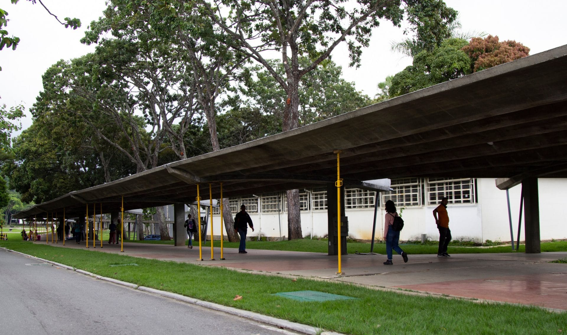 Universitarios venezolanos requieren atención urgente en materia de salud mental, según estudio