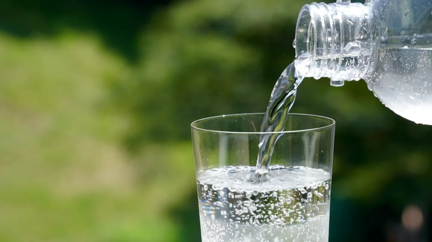 Harvard demostró el verdadero efecto que tiene el agua con gas en nuestros riñones