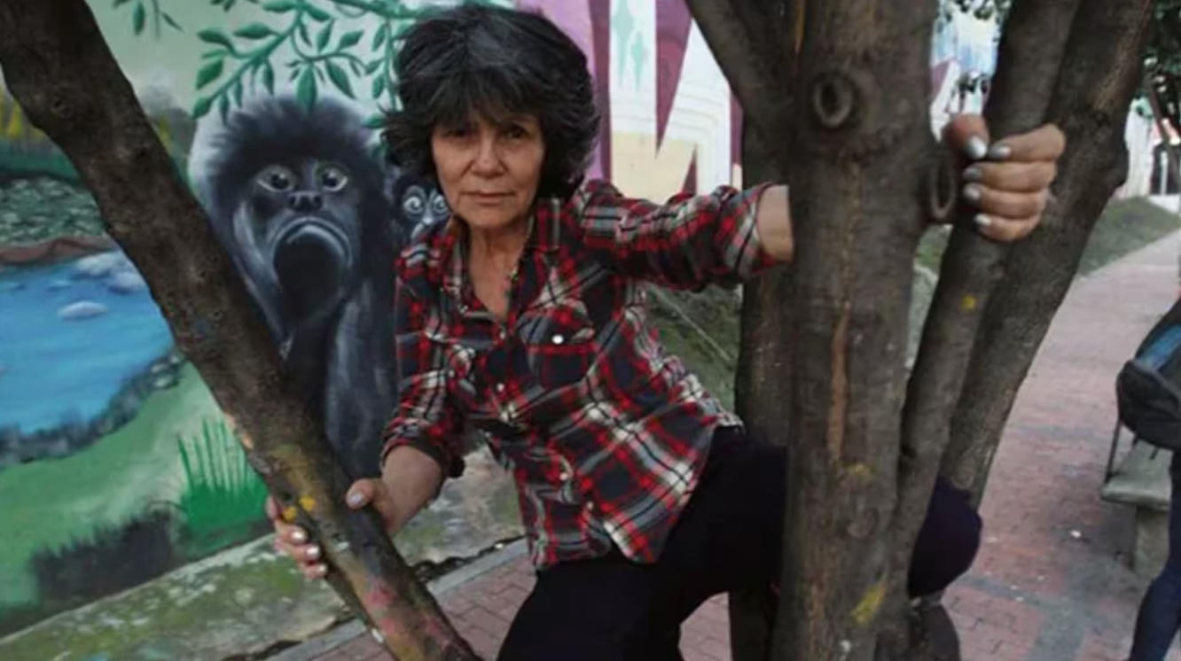 Secuestrada y abandonada en la selva: la impresionante vida de una niña arrancada de su familia que fue criada por monos