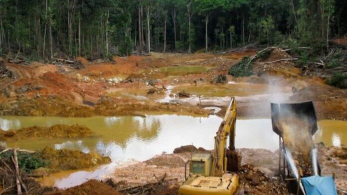 SOS Orinoco denuncia aumento de la actividad minera ilegal en Canaima